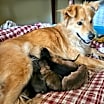 Thumbnail photo of Baby Ingrid #4