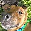 Thumbnail photo of Captain #3
