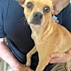 Thumbnail photo of Billy #1