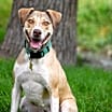 Thumbnail photo of Olive M #1