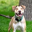 Thumbnail photo of Olive M #2
