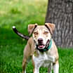 Thumbnail photo of Olive M #3