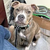 Thumbnail photo of Coco #1