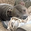 Thumbnail photo of Coco #4