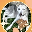 Thumbnail photo of Katara #2