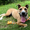 Thumbnail photo of Alvin #1