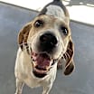 Thumbnail photo of Charlie #2