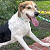 Thumbnail photo of Charlie #4