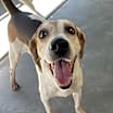 Thumbnail photo of Charlie #1