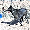 Thumbnail photo of Mayhem located in NM #2