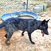 Thumbnail photo of Mayhem located in NM #4