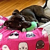 Thumbnail photo of Cooper #1