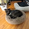 Thumbnail photo of Cooper #4