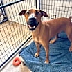 Thumbnail photo of Nellie #1