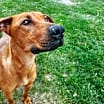Thumbnail photo of Nellie #2