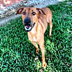 Thumbnail photo of Nellie #3
