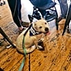 Thumbnail photo of Axel #3