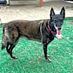 Thumbnail photo of Nikki #3