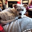 Thumbnail photo of Zane #1