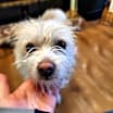 Thumbnail photo of Zane #3
