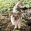 Thumbnail photo of Zane #4