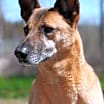 Thumbnail photo of Boon #2