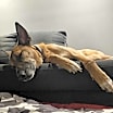 Thumbnail photo of Boon #3