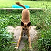 Thumbnail photo of Boon #4