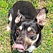 Thumbnail photo of Lila #2