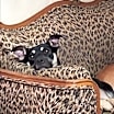 Thumbnail photo of Lila #4