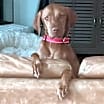 Thumbnail photo of Vida #1