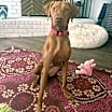 Thumbnail photo of Vida #3