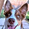 Thumbnail photo of Jolie #1