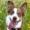Thumbnail photo of Jolie #2