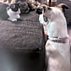 Thumbnail photo of Sparkles #3