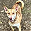 Thumbnail photo of Layla #2