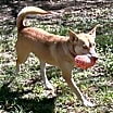 Thumbnail photo of Layla #4