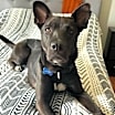 Thumbnail photo of Mavi #1