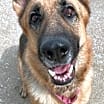 Thumbnail photo of Hailey #4