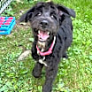 Thumbnail photo of Savannah #1
