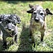 Thumbnail photo of Helen #1