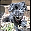 Thumbnail photo of Helen #2