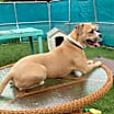 Thumbnail photo of Randy #2