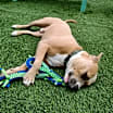 Thumbnail photo of Randy #4