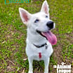 Thumbnail photo of Blizzard #2
