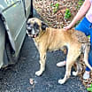 Thumbnail photo of Izzabella #4