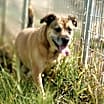 Thumbnail photo of Dakota #2