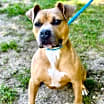 Thumbnail photo of Hazel #4
