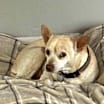 Thumbnail photo of Little Andy #4