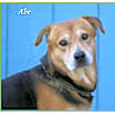 Thumbnail photo of Abraham #1
